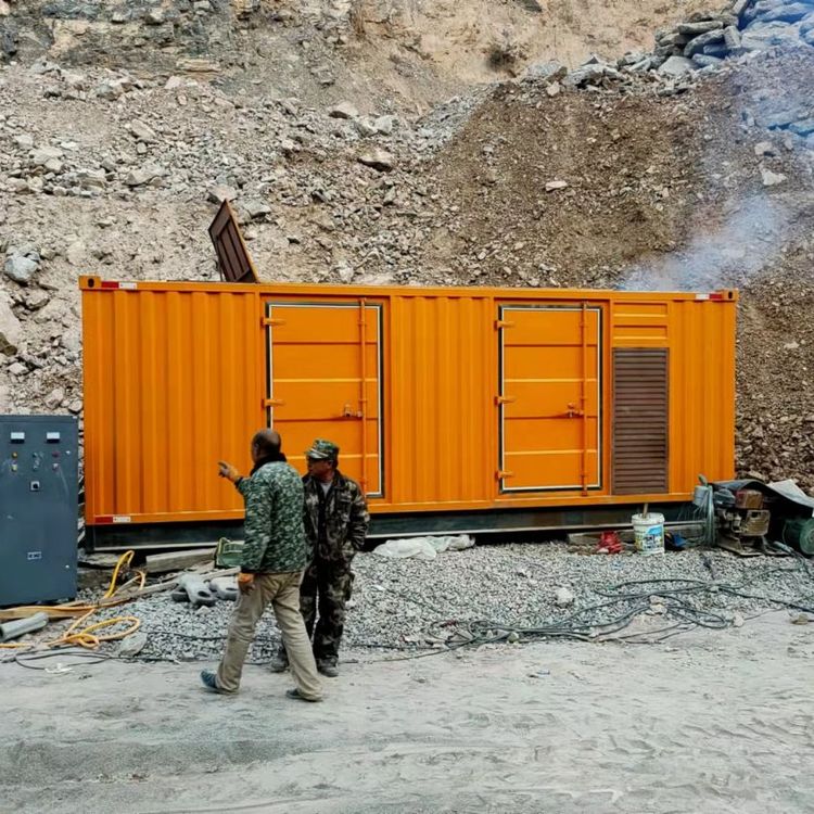 利辛如何选择适合自己的 800KW 柴油发电机组？